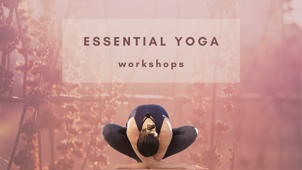 Image: Essential Yoga