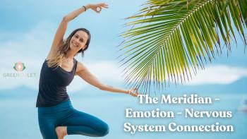 Image: THE MERIDIAN – EMOTION – NERVOUS SYSTEM CONNECTION